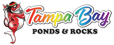 Tampa Bay Ponds & Rocks