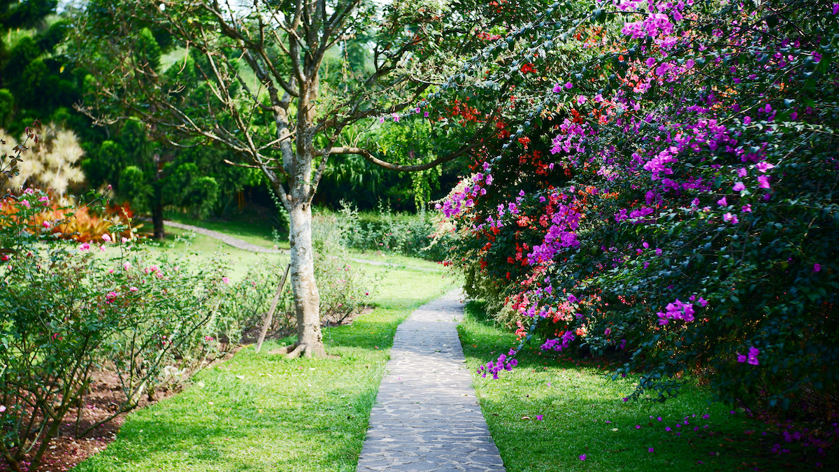 Landscaping Rocks in Pinealls, FL